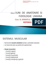 Anatomie (Sistemul Muscular) PDF