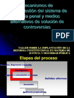 Salida Salter Nasal Proceso Penal Chiapas