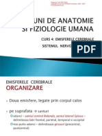 CURS - 4 Emisfere cerebrale-SNV PDF