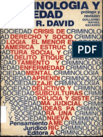 David, Pedro R. - Criminologia y Sociedad