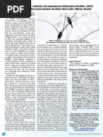 Novo registro do cuitelão Jacamaralcyon tridactyla (Vieillot, 1817) em fragmento flrestal urbano de Belo Horizonte, Minas Gerais