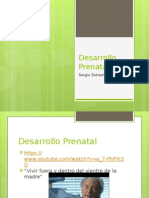 Proceso Del Desarrollo Prenatal