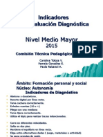 Indicadores de Diagnostico M. Mayor 2015