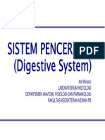 Digesive System