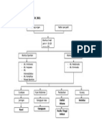 Pathway Abortus