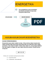 Bioenergetika BR