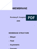 Biomembrane: Rondang R. Soegianto 2009