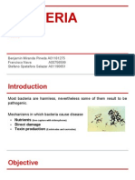 Bacteria Toxicology