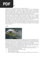 Download Strain Ikan Nila by Satya Wardhana SN259232364 doc pdf