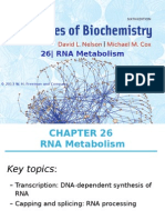ch26 - RNA Metabolism
