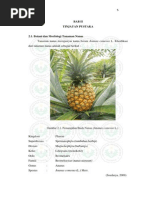 Download Jenis Jenis Nanas by rissci SN259233666 doc pdf