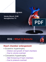 Electro Cardiograph y
