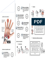 Triptico STC 3