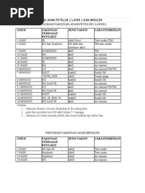 Program Vaksinasi Ayam Petelur