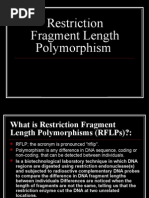 Download RFLP by MrWestbury SN2592490 doc pdf