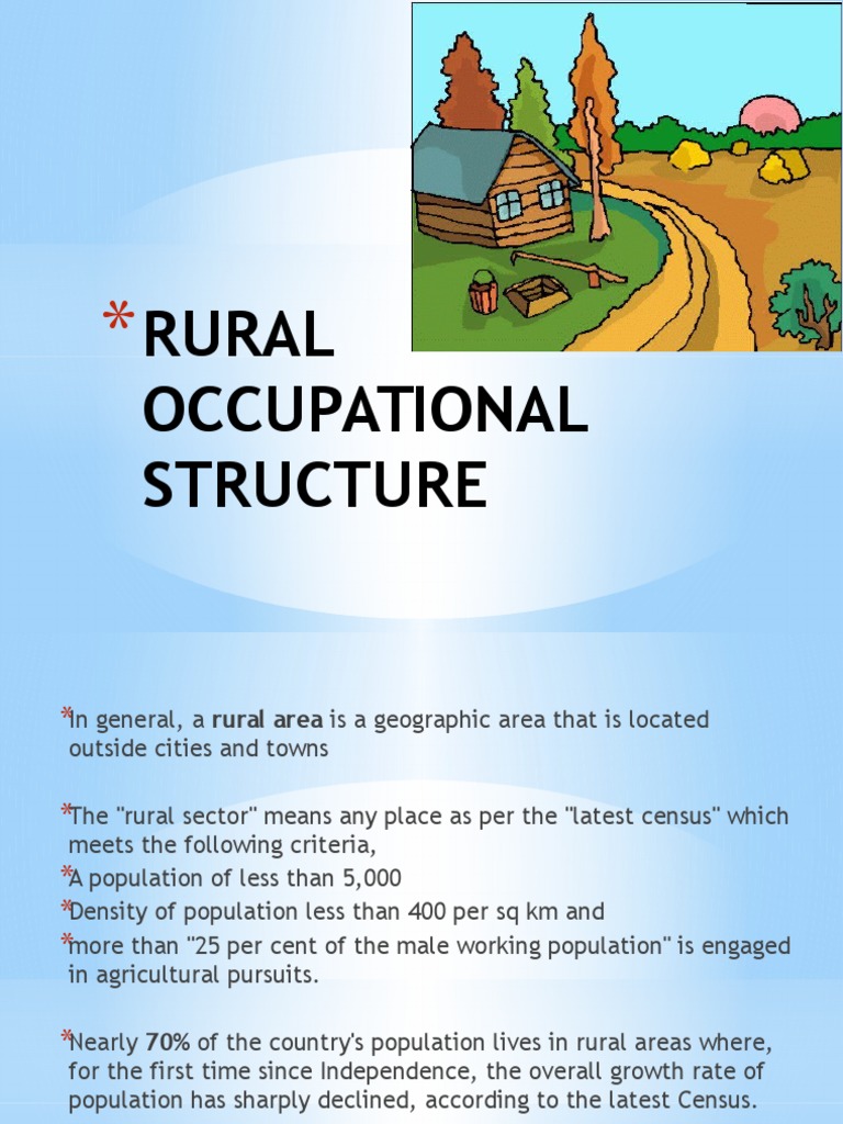Rural Occupational Structure in India | PDF | Rural Area | Employment