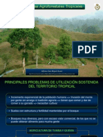 V. - Sistemas Agroforestales Tropicales