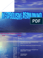 Metabolisme Asam Amino