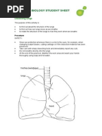 Lung Work Sheet