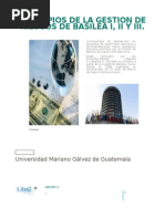 Principios de La Gestion de Riesgos de Basilea i