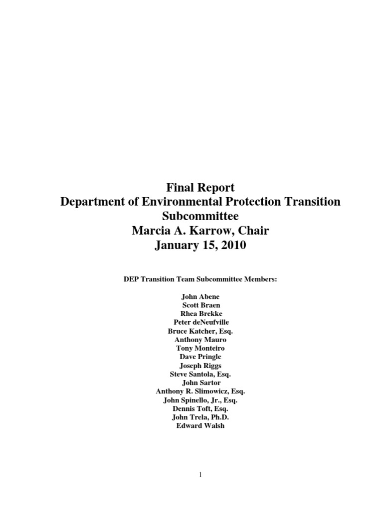 Final Report Department of Environmental Protection Transition ...