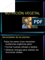 nutricionvegetal (1).ppt