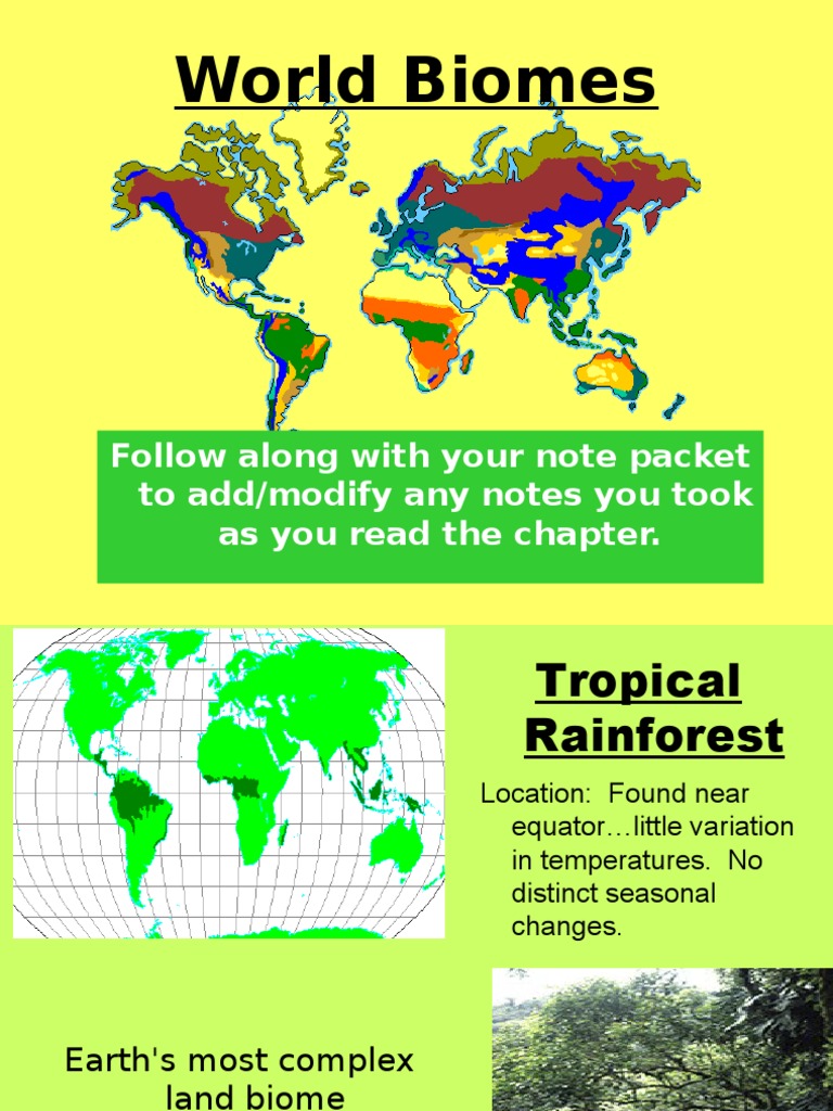 Overview of Global Biomes | PDF | Rainforest | Forests