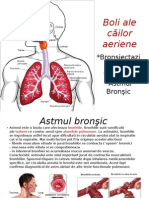 Boli Ale Cailor Respiratorii