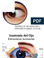 Anatomia y Fisiologia Ocular