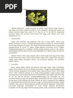 Download Jenis Tanaman Hiperakumulator by Dian Siti Marfuah Rahmat SN259330242 doc pdf