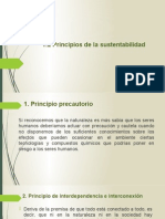 1.2 Principios de La Sustentabilidad