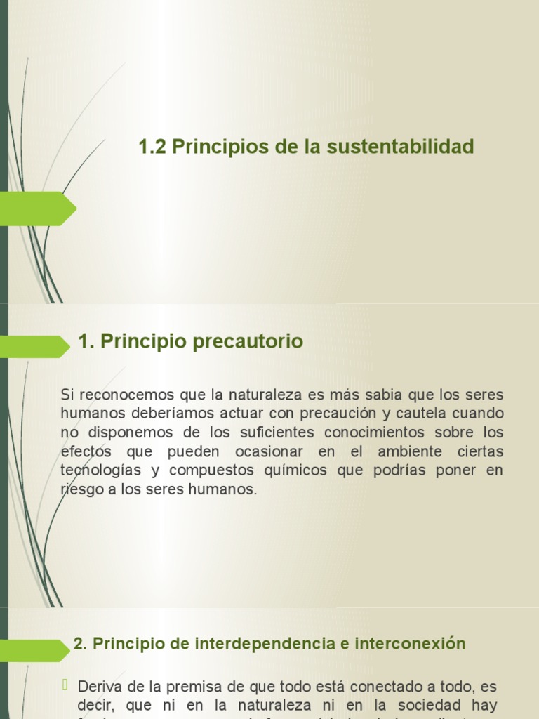 1.2 Principios de La Sustentabilidad | PDF | Desarrollo sostenible ...