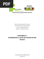 Relatório velocidade da reação