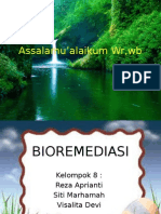 Bioremediasi