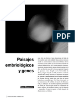 Embriologia Genes y Matematicas