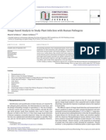 Image-based Analysis to Study Plant Infection With Human Pathogens