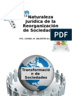 13° SEMANA NATURALEZA JURIDICA DE LA REORGANIZACION DE SOCIEDADES - copia (2)