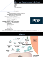 a11a BactViruses