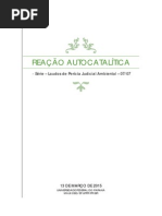 AUTOCATALITICA