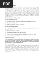 Download Nyamuk Aedes Aegypti by Yaleswari Hayu Pertiwi SN259366682 doc pdf