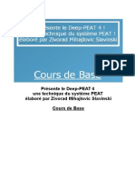 DP4 Syllabus Du Cours Base