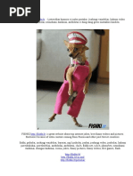 Download FUNNY FISHKI PICTURES JOKES  VIDEOS - Prikolai juokingi paveiksliukai mergin foto video bajeriai by citoanavrin SN25937570 doc pdf