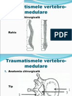 traumatisme_vertebromedulare