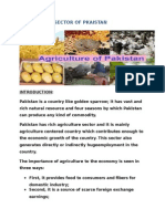Agriculture Sector in Pakistan(2)