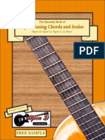 The Essential Book of Open Tuning Chords and Scales SAMPLEv2 PDF