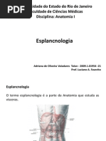 Versão Final Anatomia I