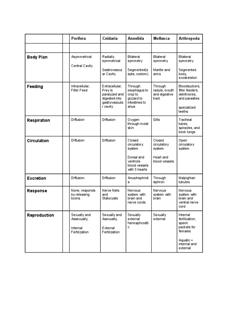 Invertebrate Body Plans & Systems | PDF | Home & Garden