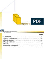 7.-Fisiere-text.pdf