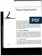 Palsson Chp.2 Tissue Organization