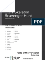 Skeleton Scavenger Hunt